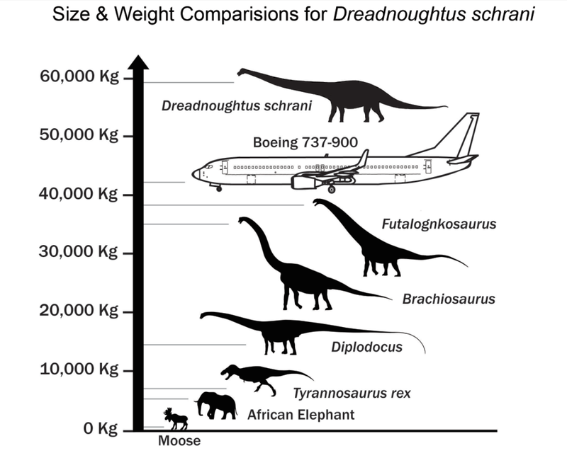 Illustration for article titled Dreadnoughtus, A Newly Discovered Supermassive Dinosaur, By The Numbers